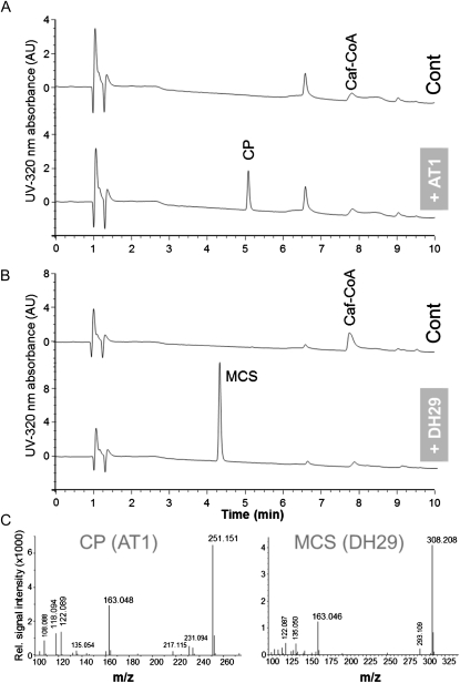 Figure 6.