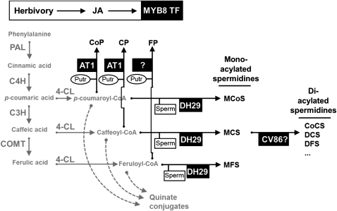 Figure 9.