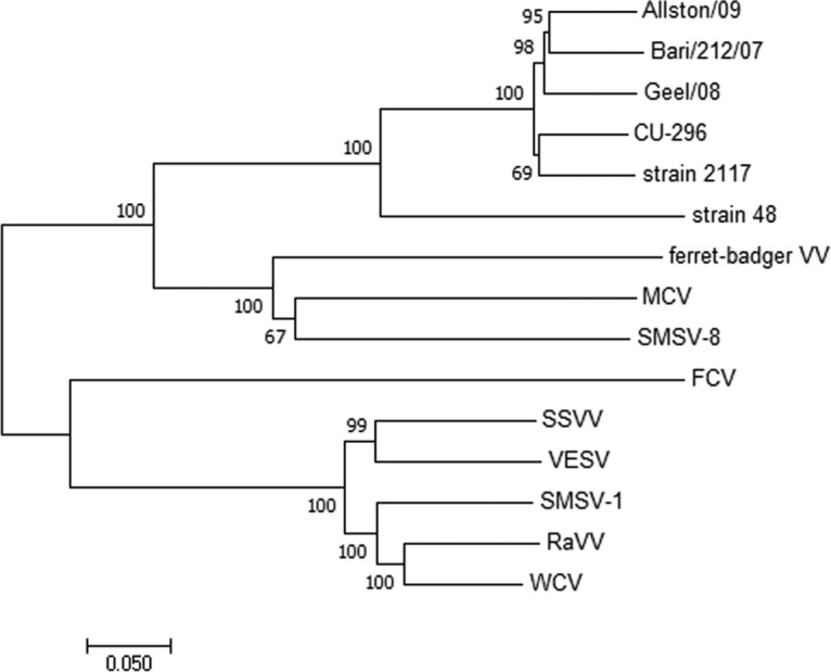 FIG 3