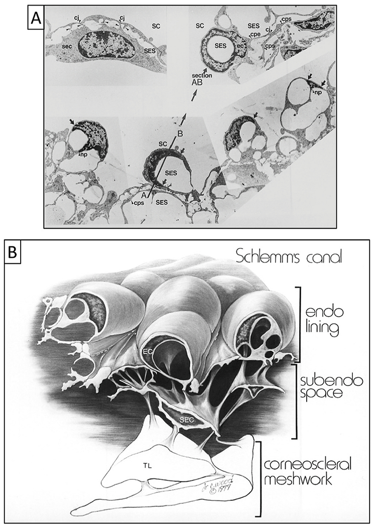 Fig. 23.