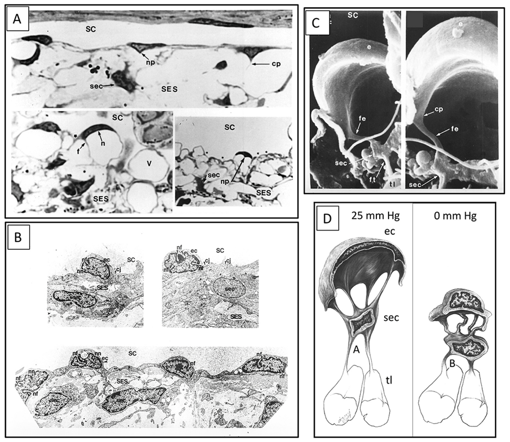 Fig. 24.