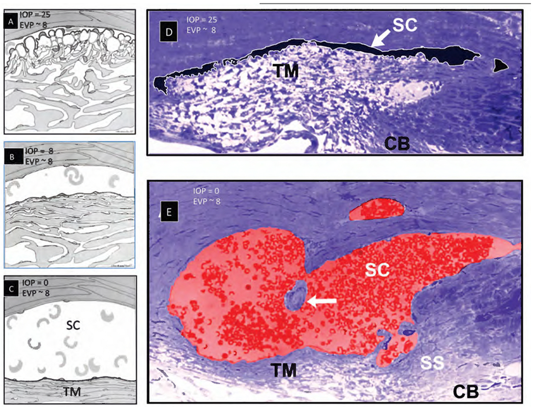 Fig. 8.