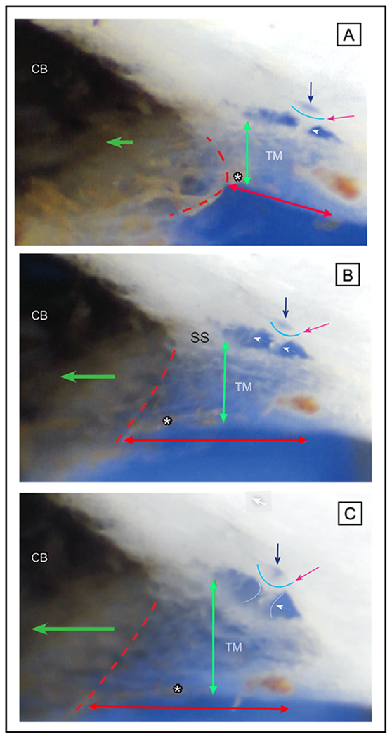 Fig. 10.