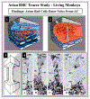 Fig. 14.