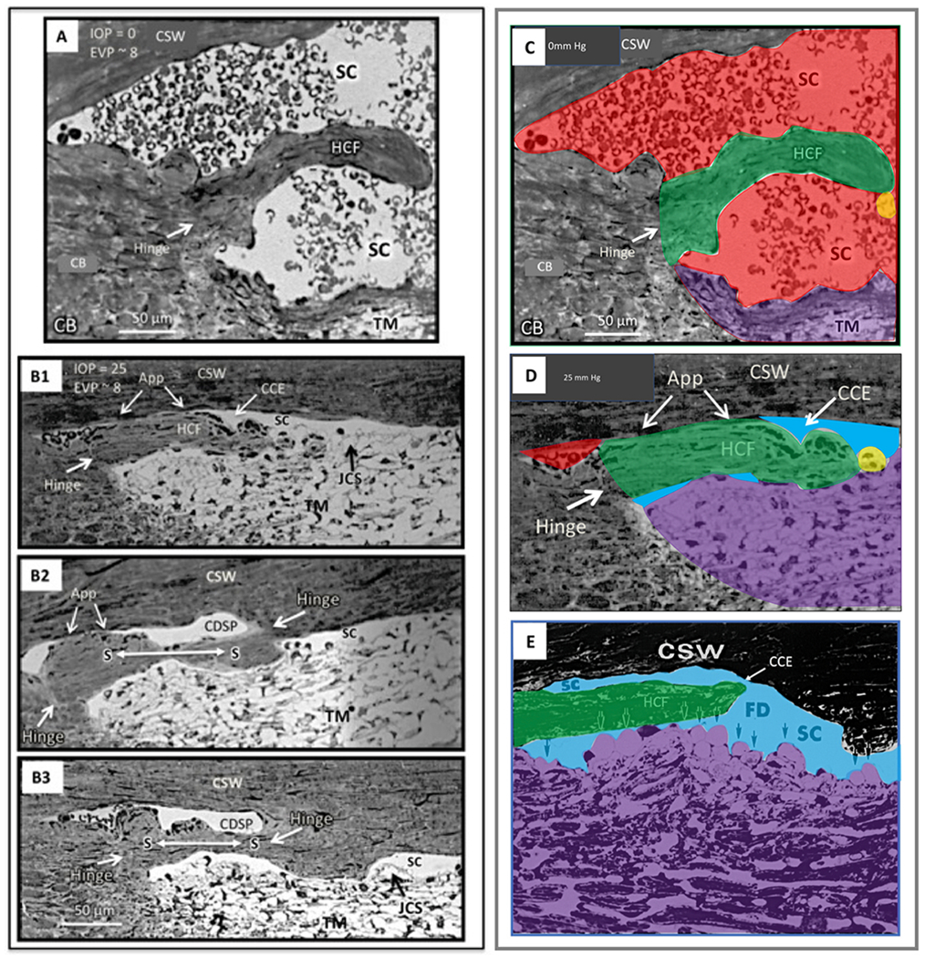 Fig. 17.