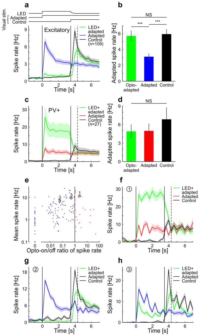 Figure 1—figure supplement 1.