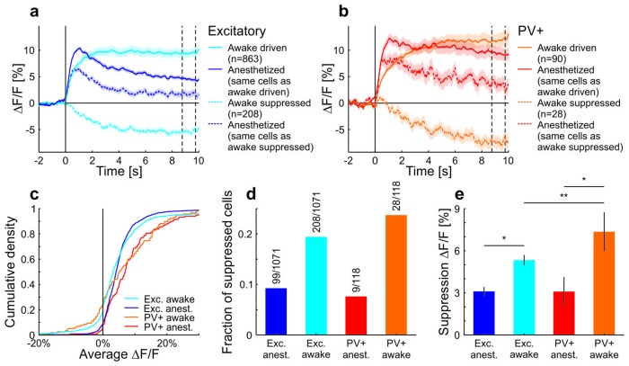 Figure 1—figure supplement 4.