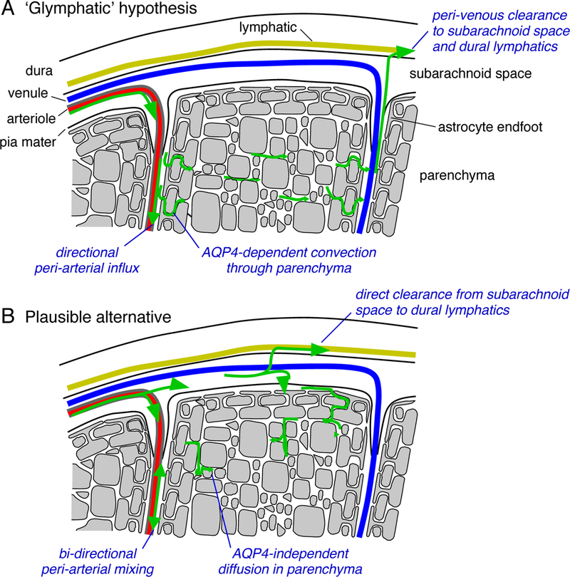 Figure 1: