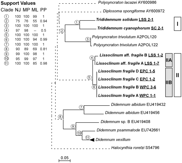 Figure 2