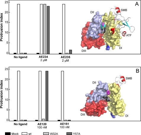 FIGURE 4.