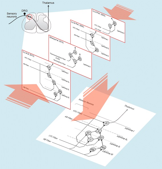 Figure 1