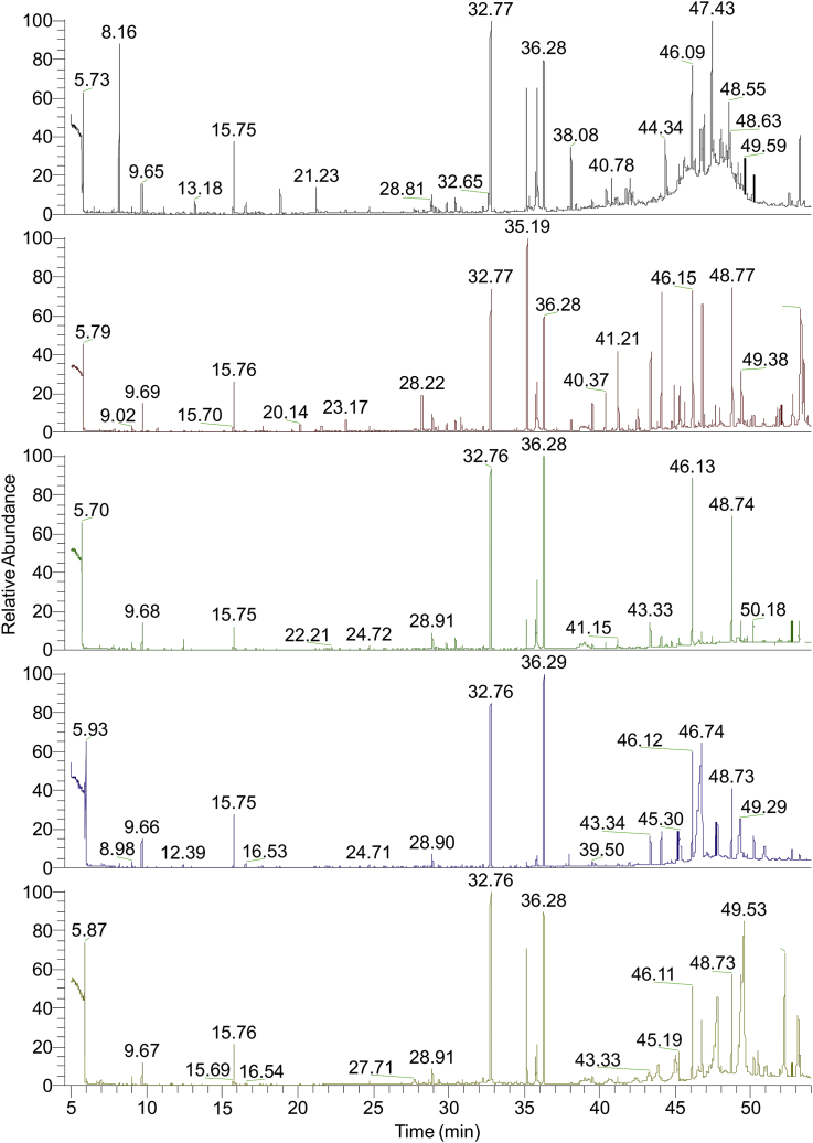 Fig. 1