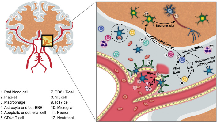 Figure 6