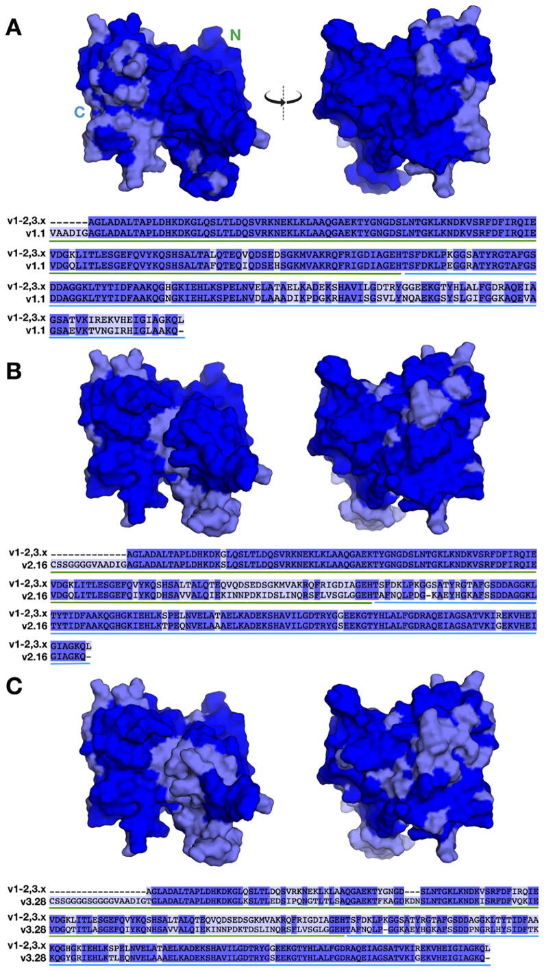 Fig. 4