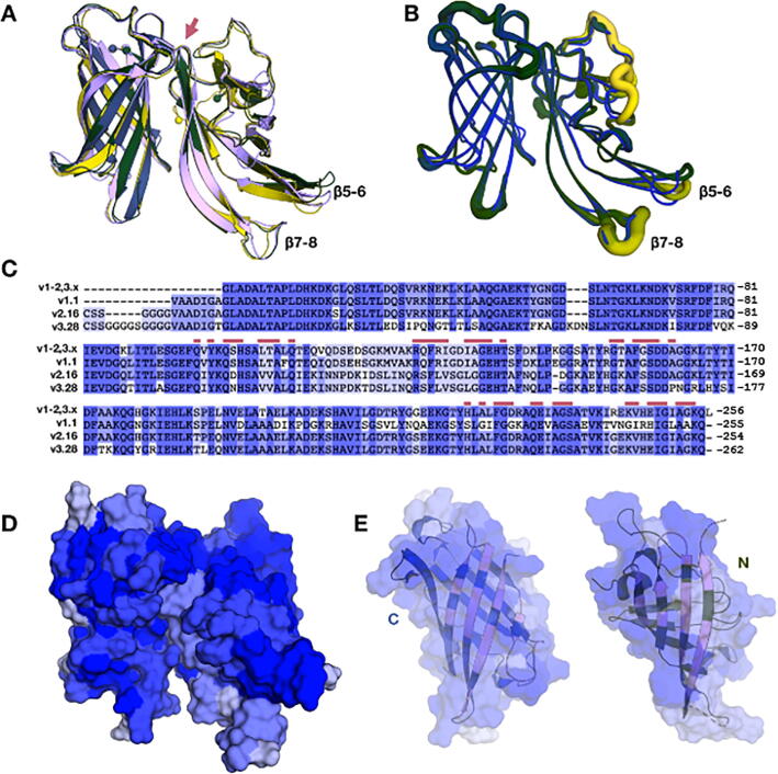 Fig. 3