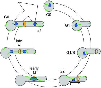 FIG. 10.