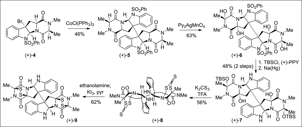 Scheme 2