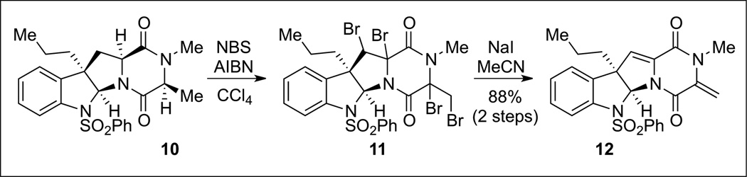 Scheme 3