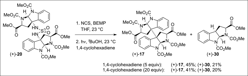 Scheme 10