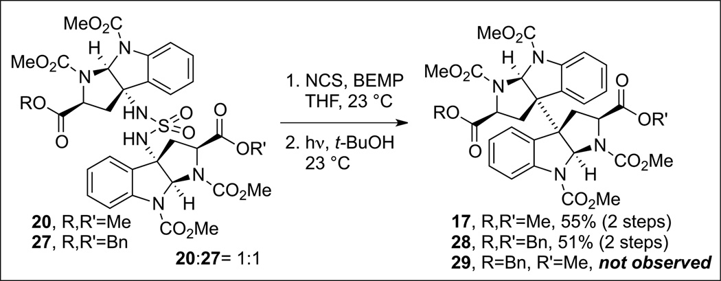 Scheme 9