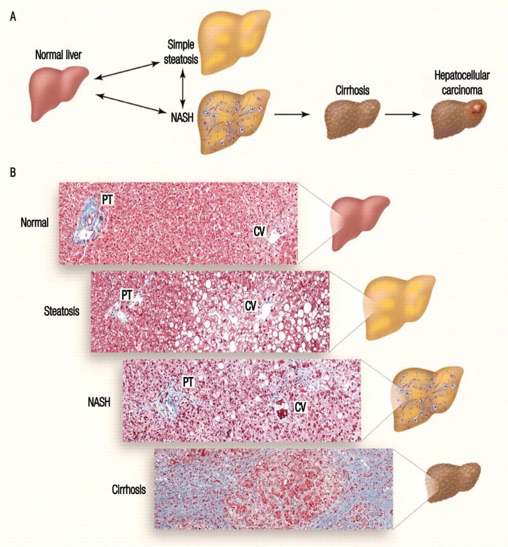 Figure 1: