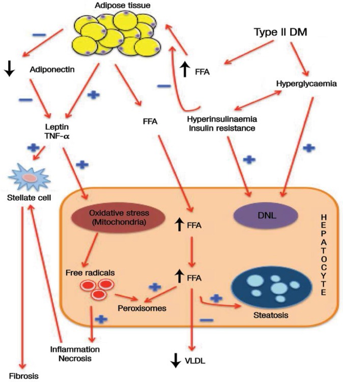 Figure 3: