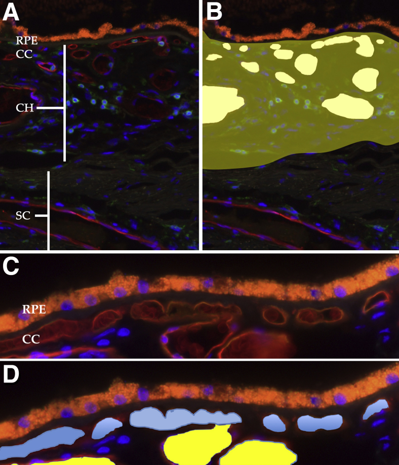 Figure 2