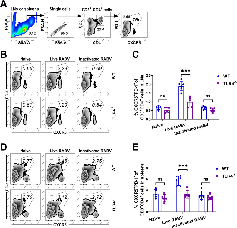 FIG 4