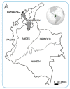 FIGURE 1: