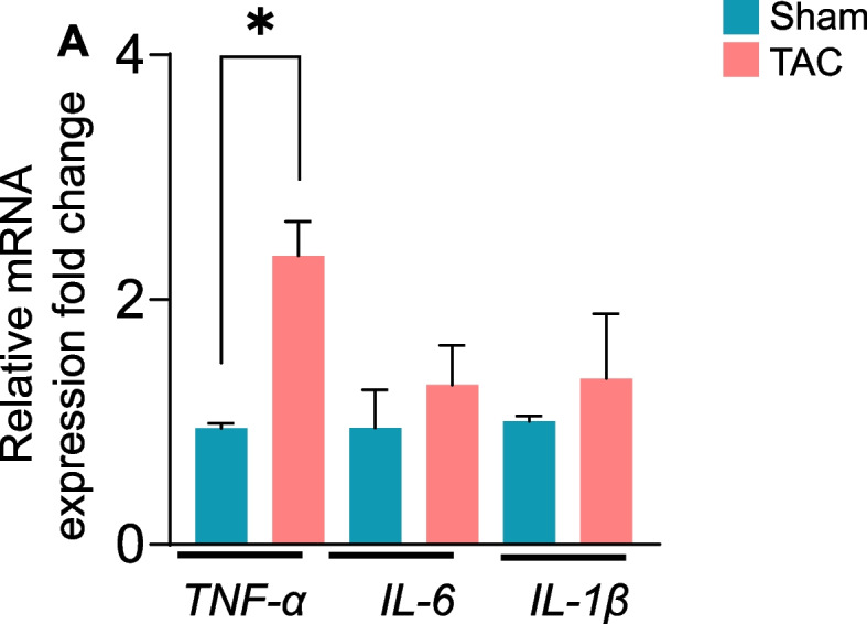 Fig. 7