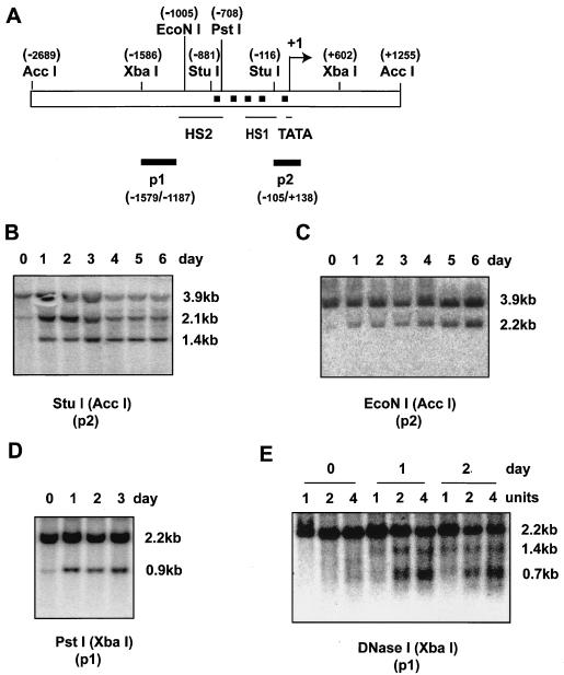 FIG. 6.