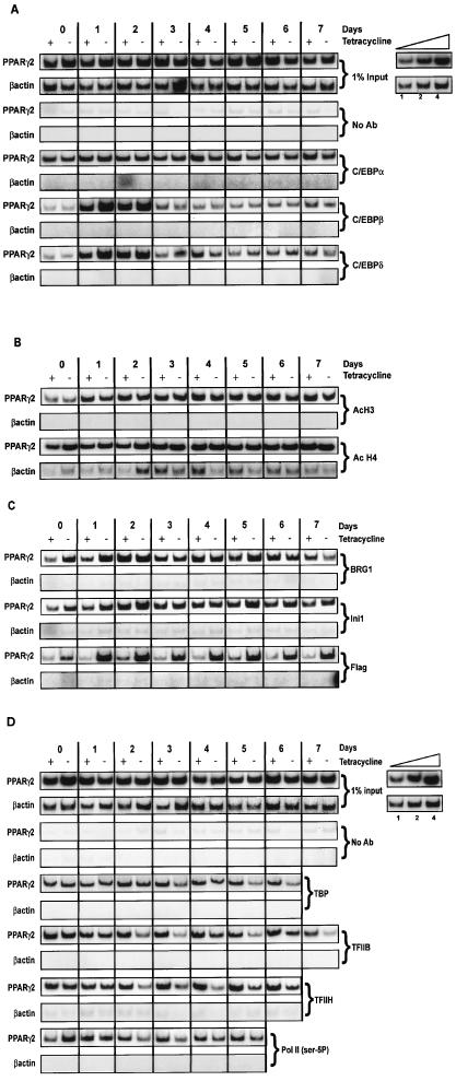 FIG. 5.