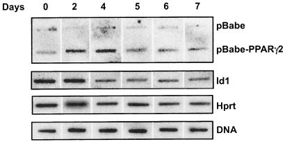 FIG. 8.