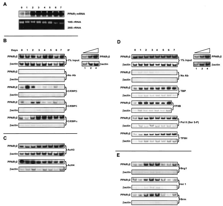 FIG. 7.