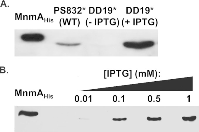 FIG 2