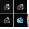 Fig 3.