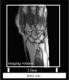 Fig 1.
