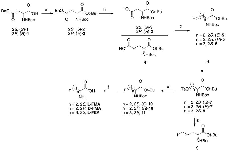 Scheme 1