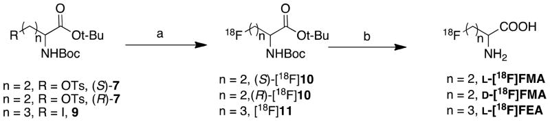 Scheme 2