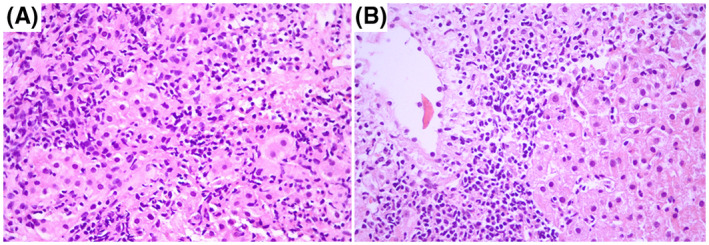 FIGURE 1