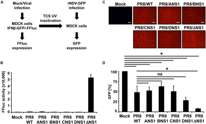 FIGURE 4