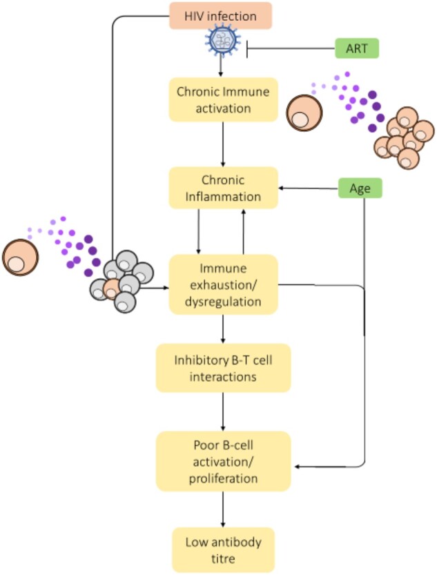 Figure 2: