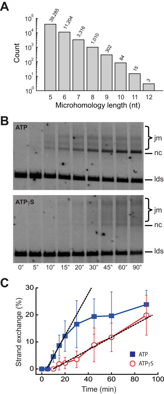 FIGURE 7.