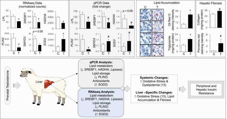 Figure 12.