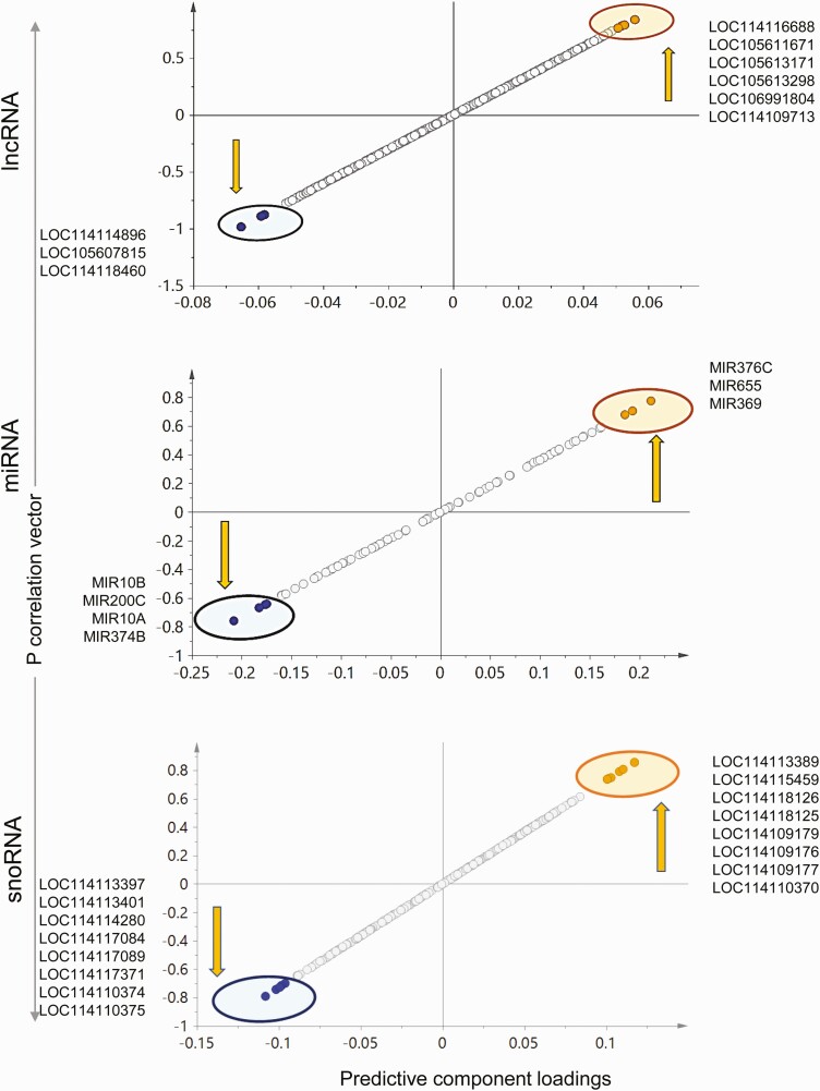 Figure 10.