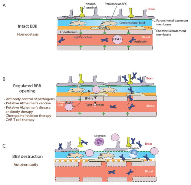 Key Figure, Figure 1