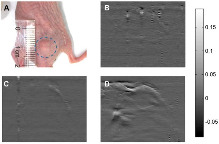 Figure 7