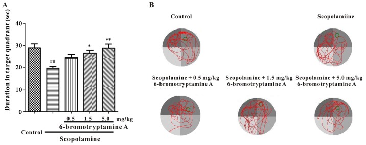 Figure 6.