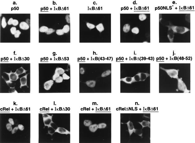 FIG. 6