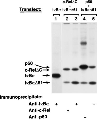 FIG. 7